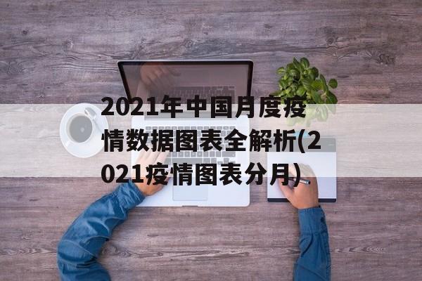 2021年中国月度疫情数据图表全解析(2021疫情图表分月)