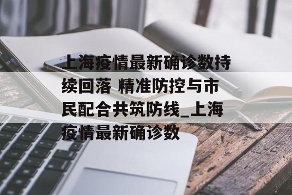 上海疫情最新确诊数持续回落 精准防控与市民配合共筑防线_上海疫情最新确诊数